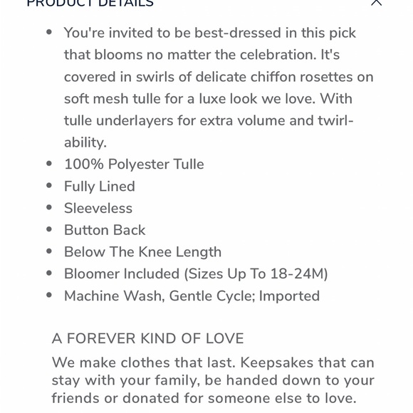 Gorgeous Janie and Jack Special Occasion The Rosette Party Dress! Worn once! - Picture 10 of 10